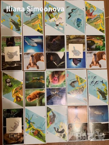 Игри на Кауфланд и Била, снимка 2 - Пъзели - 36689530