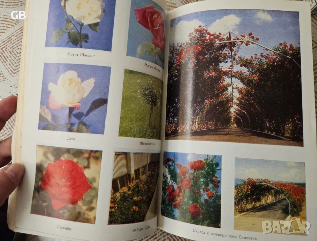 Комплект полезни книги за градинарство, озеленяване, билки, снимка 4 - Специализирана литература - 53966428