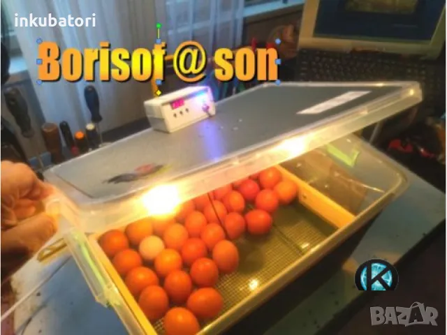 Инкубатори -Коледна промоция, снимка 4 - Други стоки за животни - 47991769