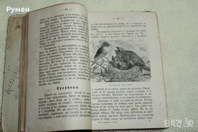Естествознание / 1902 г./, снимка 7 - Антикварни и старинни предмети - 40329024