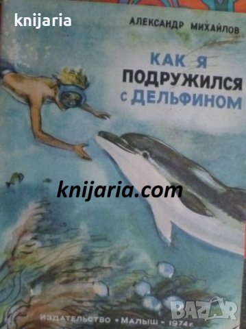Как я подружился с дельфином