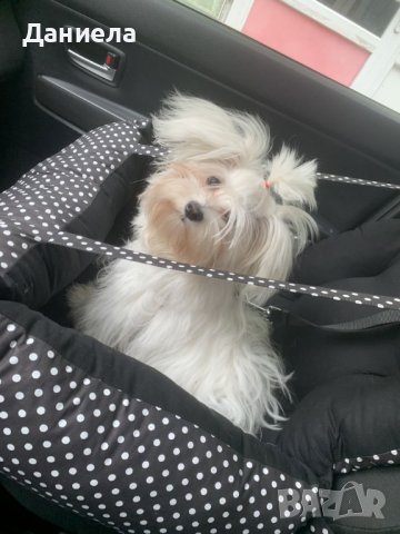 Столче за кола за куче, снимка 6 - За кучета - 28328694
