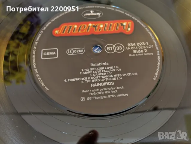 RAINBIRDS, снимка 8 - Грамофонни плочи - 49758973