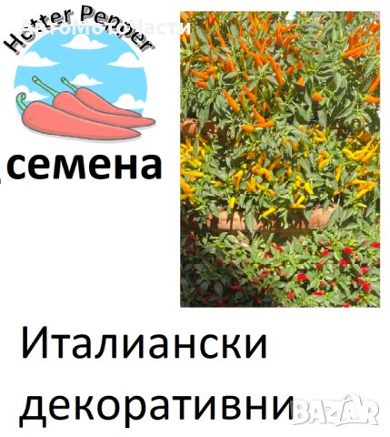 Семена за екзотични люти чушки, снимка 9 - Сортови семена и луковици - 44274579