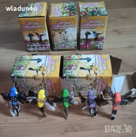 Соларни ПЕПЕРУДИ,КОЛИБРИ.Лалета-8лв/9лв/10лв, снимка 10 - Градински цветя и растения - 14365224