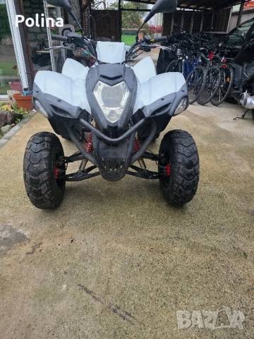 2 ATV Herkules Adly , снимка 4 - Мотоциклети и мототехника - 52031774
