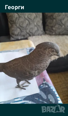 Голяма бронзова птица