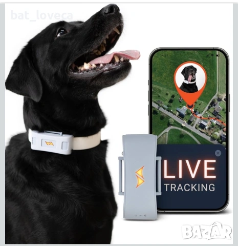 Нов PAJ GPS тракер за кучета - 4G - Аларми за бягство на кучета - Проследяване на живо 