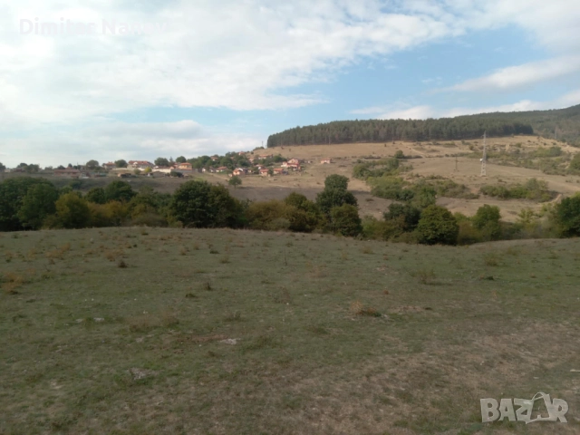 Продавам нива, с. Змейово, област Стара Загора, снимка 6 - Земеделска земя - 52054903