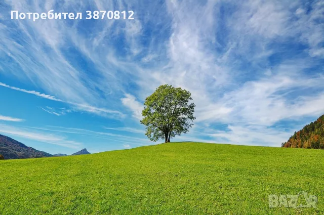 Косене на трева почистване на дворове и запустели парцели