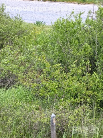 Земеделска земя гр. Дебелец, снимка 8 - Парцели - 54292349