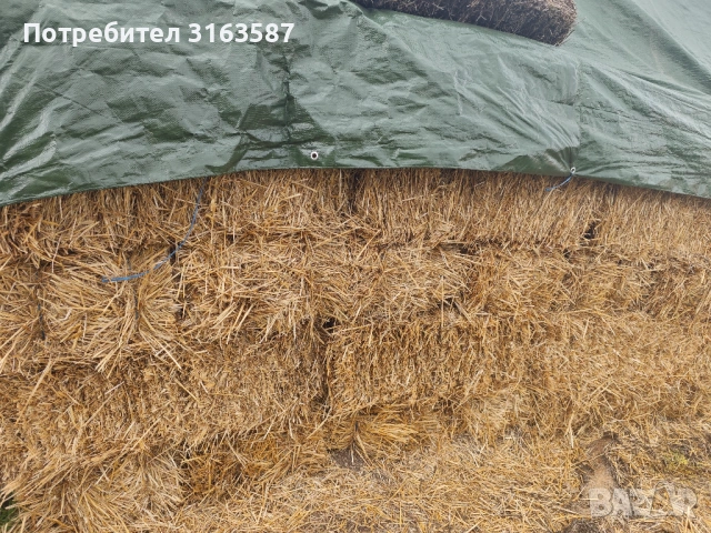 Бали пшенична слама , снимка 3 - За селскостопански - 53082998