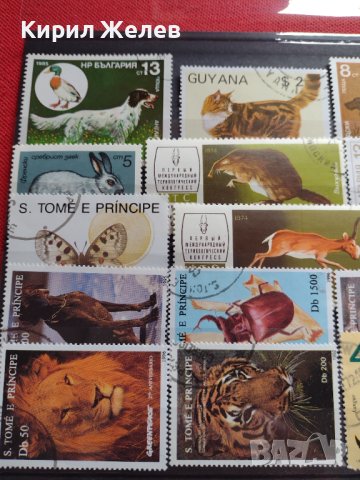 Пощенски марки смесени от цял свят ЖИВОТНИ за КОЛЕКЦИЯ 22615, снимка 2 - Филателия - 40344342
