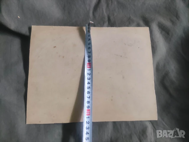 Стари снимки Желюшанки Забън , конгрес Желушане , Костенец ,деца ,ученици, снимка 14 - Други ценни предмети - 46879888