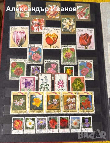 Стари пощенски марки, снимка 4 - Филателия - 51152353