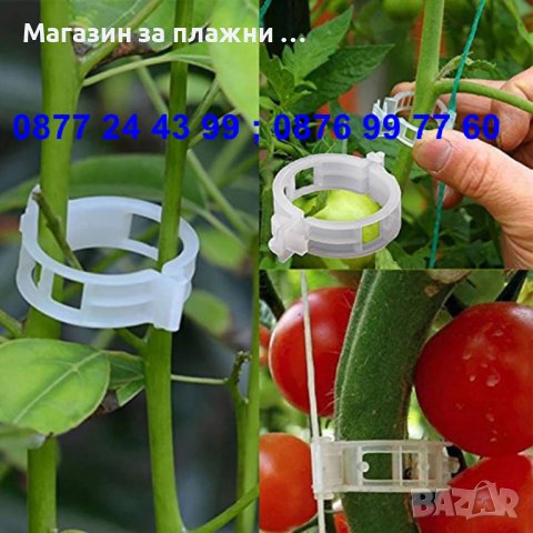 к-т 50 бройки щипка - клипс за подържане на домати и растения - КОД 3691, снимка 2 - Разсади - 36674946