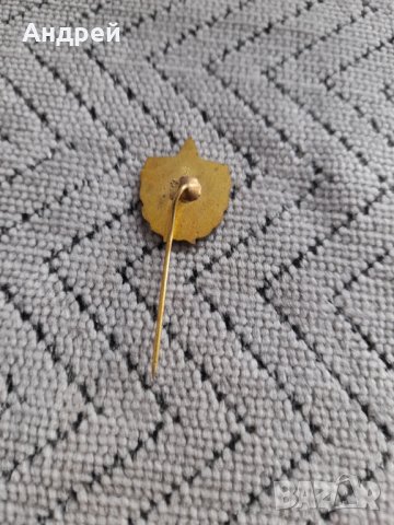 Стара значка ВИФ, снимка 2 - Колекции - 44183309