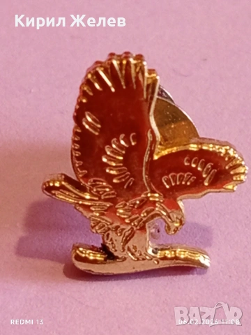 Винтидж значка с винт Американски орел 🦅 рядка много красива 53622, снимка 3 - Колекции - 53379134
