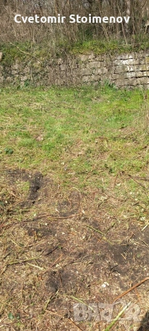 косене на запуснати терени и дворове , снимка 8 - Други почистващи услуги - 53931503