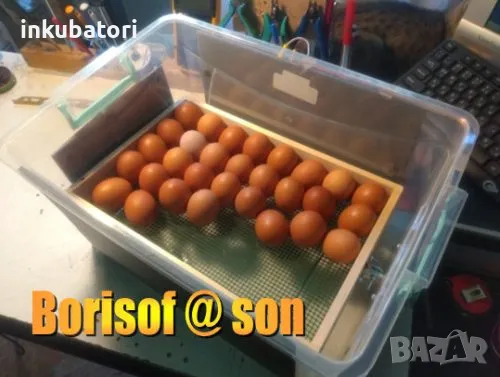 Инкубатори за яйца, Инкубатор, люпилня - български, снимка 5 - За птици - 49466206