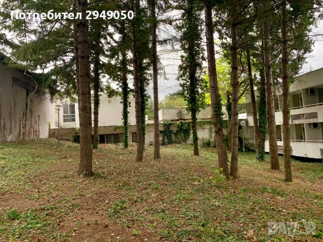 Почистване на дворове и всякакъв вид парцели, снимка 8 - Други услуги - 54068795