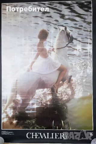 Постери, плакати, снимка 8 - Колекции - 49527098