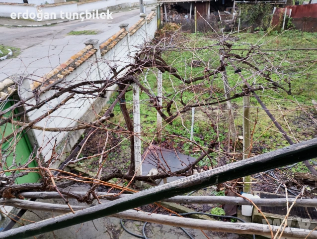 къща на село, снимка 6 - Къщи - 53028909