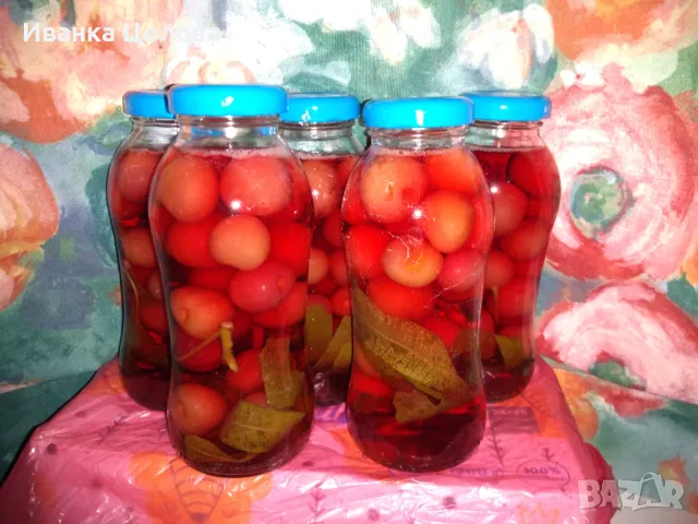 Детегледачка / домашна помощница, снимка 2 - Детегледачки - 47896632