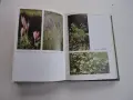 Книга Билките в България и използването им Иванов , снимка 5
