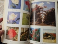 Комплект полезни книги за градинарство, озеленяване, билки, снимка 4