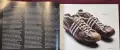 Golden Kicks. The Shoes that Changed Sport, снимка 11