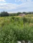 косене на запуснати терени и висока трева , снимка 7