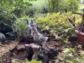 сребърен зибрайт, снимка 5