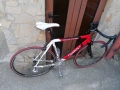 Wilier Trestina, Full Campagnolo , снимка 3