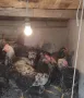 Катунски кокошки и петли изгодно , снимка 6