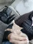 Подарявам коте СПЕШНО , снимка 2