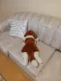 ПЛЮШЕНА ИГРАЧКА КУЧЕНЦЕ, снимка 3