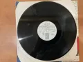 Грамофонна плоча 12”, снимка 3