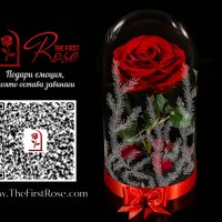 Вечна роза в ГОЛЯМА стъкленица - Оригинален подарък за жена / Уникален Подарък за Годишнина, снимка 3 - Декорация за дома - 30843510