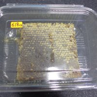 Пчелен мед във восъчна пита, снимка 3 - Пчелни продукти - 38495832