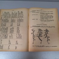 Растениевъдство-Ръководство за лабораторно-практически занятия, 1955 г., снимка 3 - Специализирана литература - 42906308