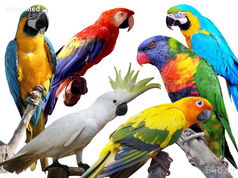 Красиви лепенки за украса на детска стая, за прозорец, стена и др. , снимка 1