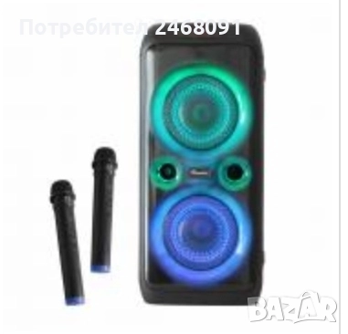 Караоке тонколона 2х8", снимка 1