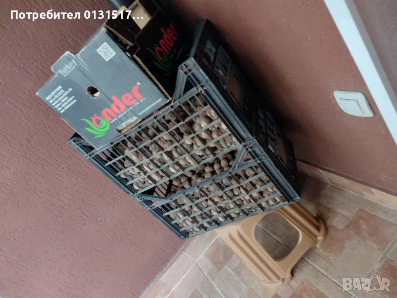 Продавам домашни орехи - реколта 2024г., снимка 1