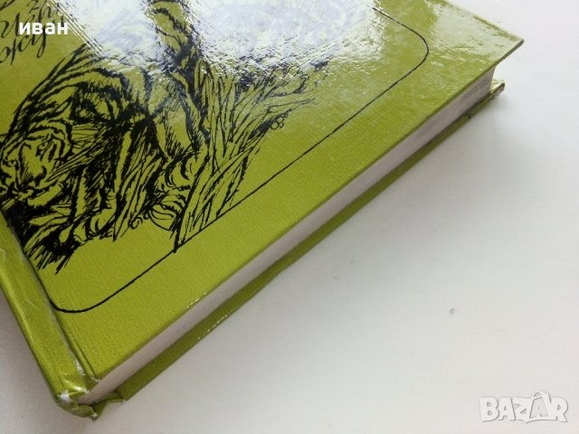 Тайните на Черната джунгла - Е.Салгари - 1983г. , снимка 7 - Художествена литература - 39725167