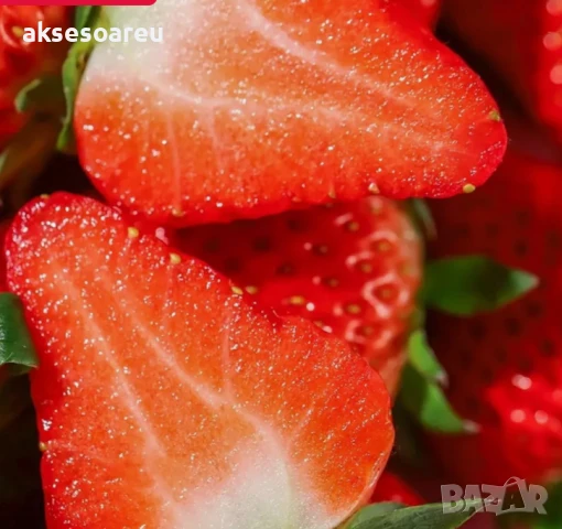 100 бр. семена от гигантска ягода градинско плодово растение сладки и вкусни червени отлични ягоди , снимка 3 - Сортови семена и луковици - 50619358