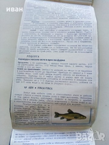 Карта "Рибите в България - къде,кога и как да ловим риба" - 2005 г., снимка 3 - Колекции - 35142262