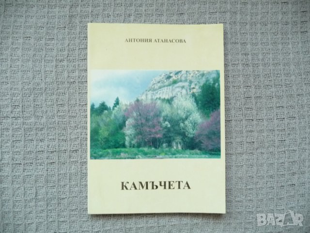 Камъчета - Антония Атанасова, снимка 1 - Българска литература - 29604102