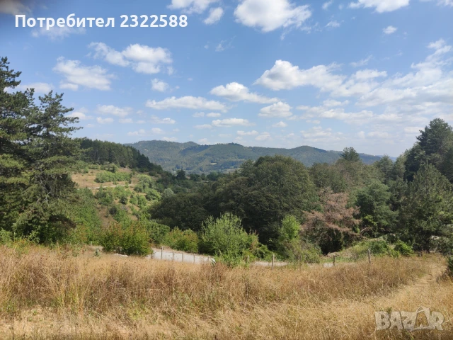 Парцел в регулация , снимка 1