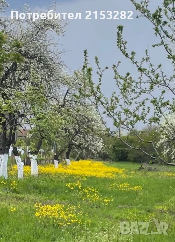 Парцели под наем 